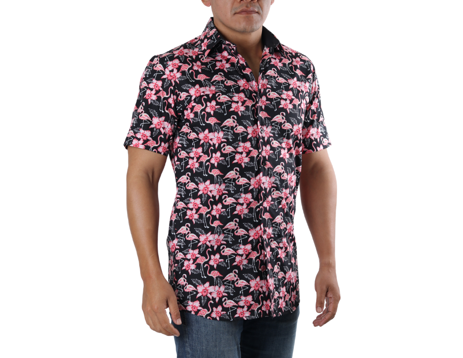 Camisa Casual Regular Manga Corta | KHAKI & BLUES
